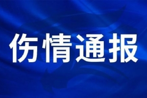 极速NBA勇士vs尼克斯直播_极速NBA勇士vs尼克斯直播免费在线直播_极速NBA勇士vs尼克斯直播全场录像回放