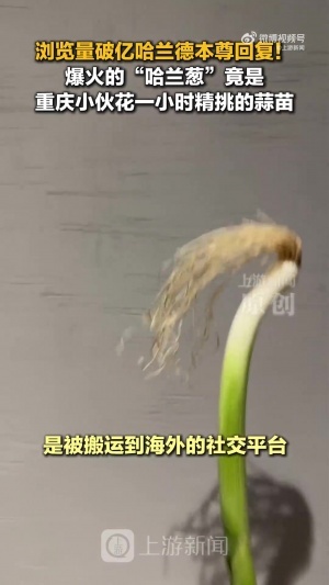 实时科特迪瓦女篮U17vs美国U17女篮比赛回放_实时科特迪瓦女篮U17vs美国U17女篮比赛回放高清直播_实时科特迪瓦女篮U17vs美国U17女篮比赛回放在线观看无插件